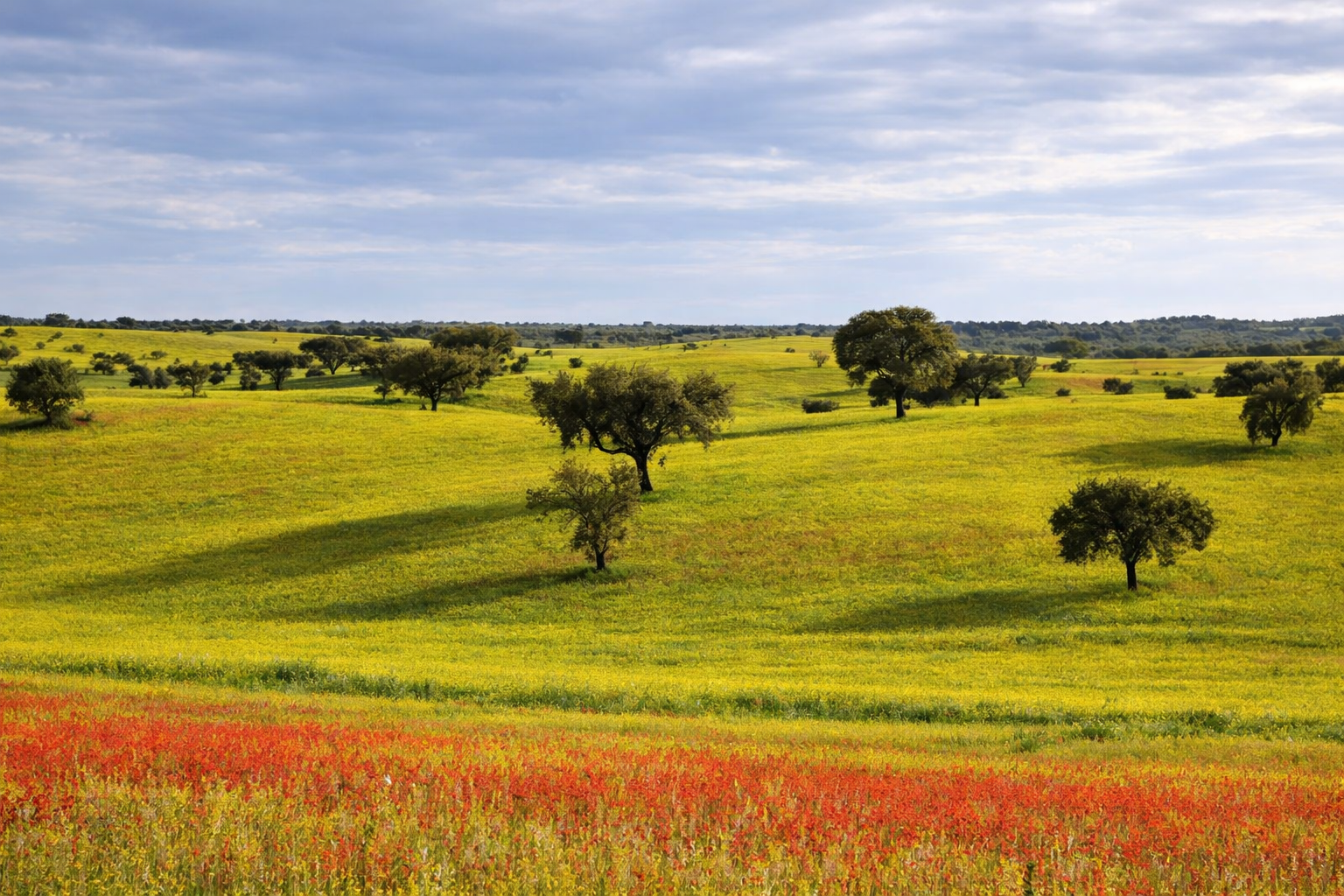 Alentejo