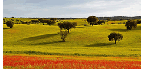 ALENTEJO REGION