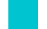 Turquoise  + 10.00€ 