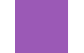Violet  + 20.00€ 